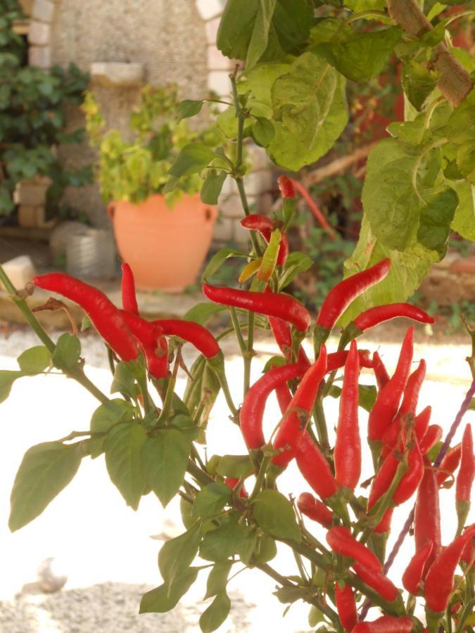 Secret Garden 76 Sq.M. Apartment Close To City Center Ioannina Exterior foto